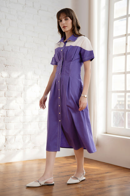 Vera Shirt Dress